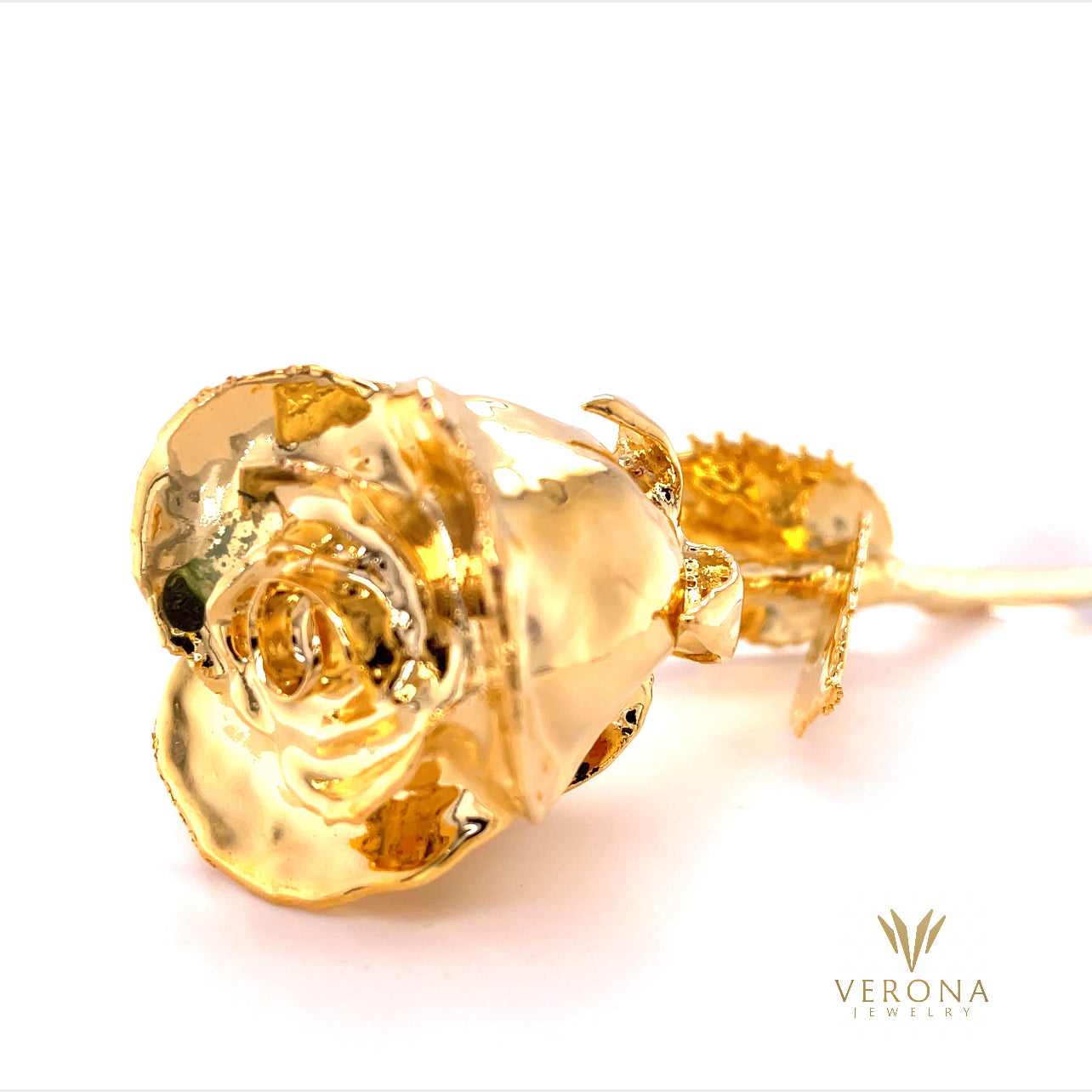 24K Gold Plating Natural Rose