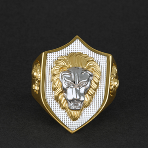
                  
                    14Kt Gold Lion Shield Ring
                  
                