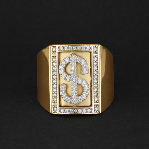 
                  
                    14Kt Gold & Zirconium Dollar Ring
                  
                